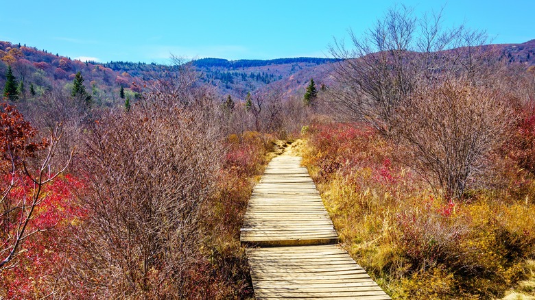 Boîtier en bois le long des champs de cimetières Trail à Blue Ridge