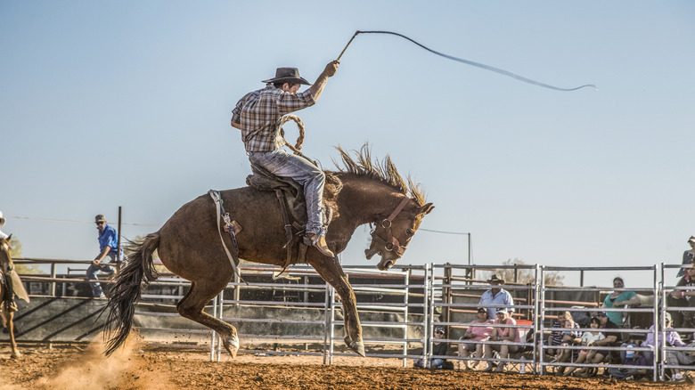 Un cow-boy brandissant un fouet monte un Bronco au rodéo