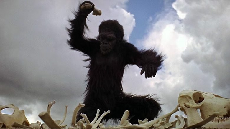 Moonwatcher apprend à utiliser un os en 2001: une odyssée de l'espace