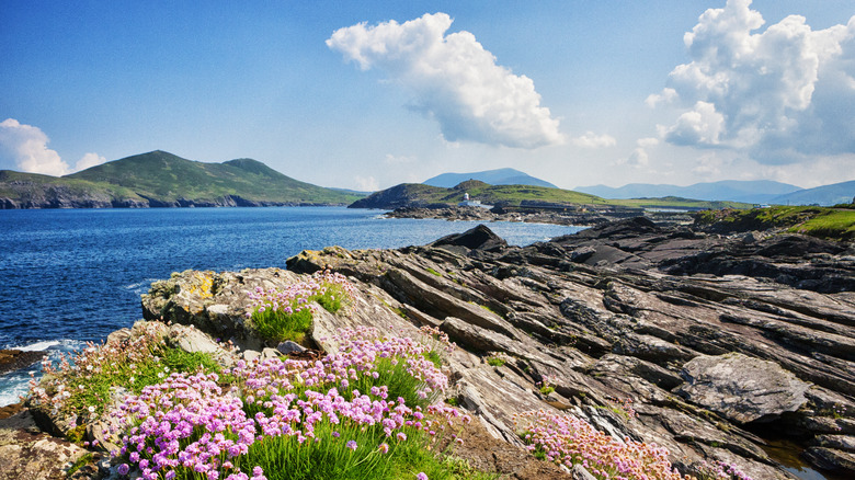 Valentia Island, paysage irlandais