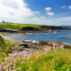 Une évasion côtière avec des falaises dramatiques est un magnifique havre niché dans le nord-ouest de l'Irlande