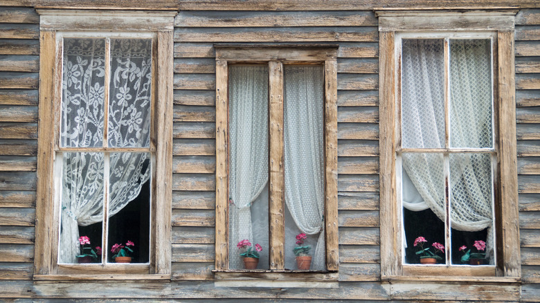 Les rideaux et les fleurs en pot décorent les vieilles fenêtres à St. Elmo, Colorado