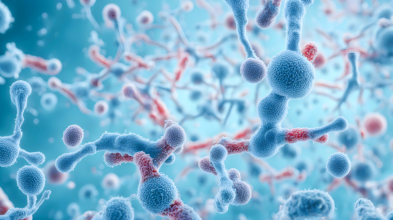 Il n'y a aucun lien entre les systèmes d'immunité et la 5G