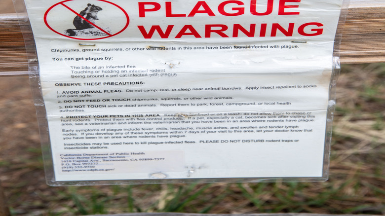 Avertissement de peste dans le lac Tahoe