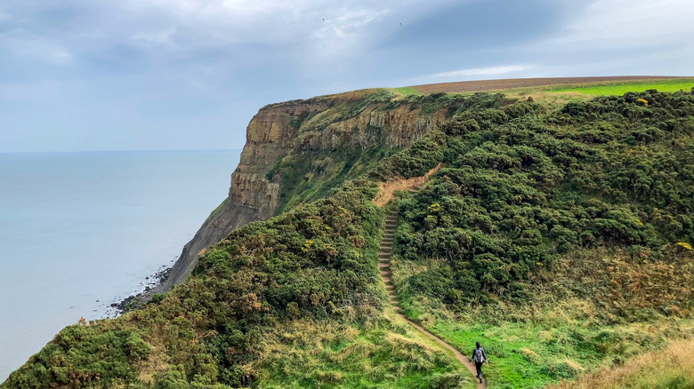 Des falaises surplombant la mer sur le sentier de Cleveland