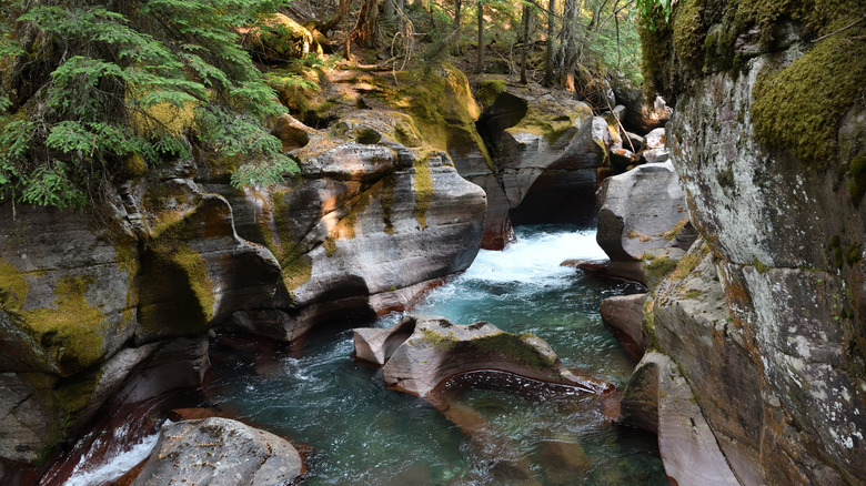 Creek sculptant à travers des rochers le long du sentier du lac Avalanche du parc national des glaciers