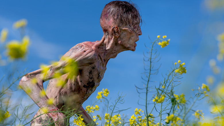 Angus Neill comme une position infectée au milieu d'un champ de fleurs dans 28 ans plus tard