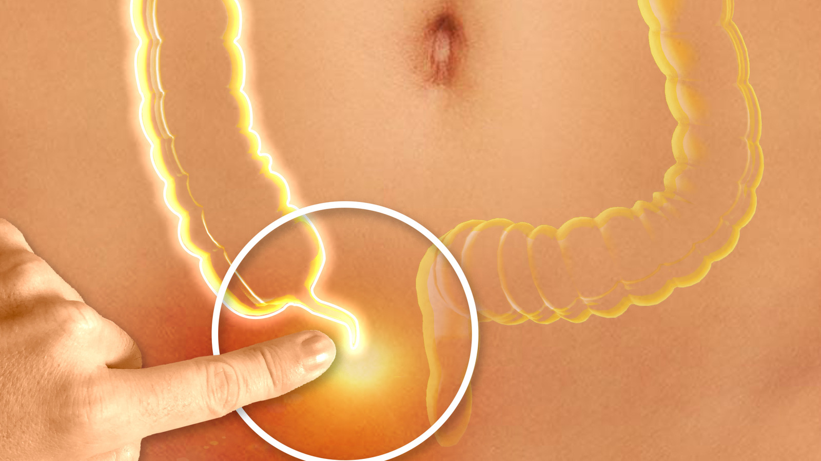 Votre annexe n'est peut-être pas aussi inutile que vous le pensez