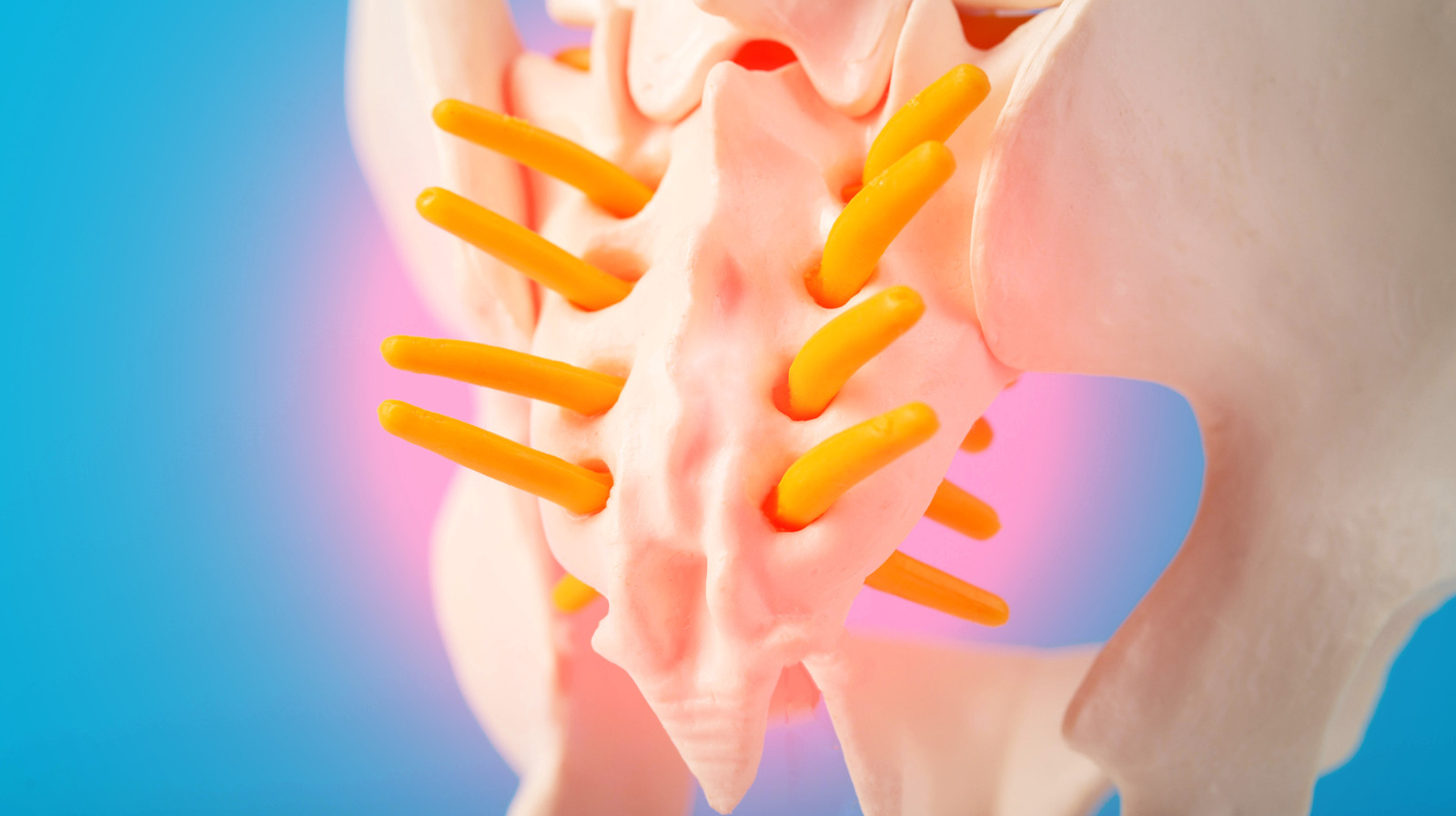 La partie «inutile» de votre colonne vertébrale qui est en fait importante