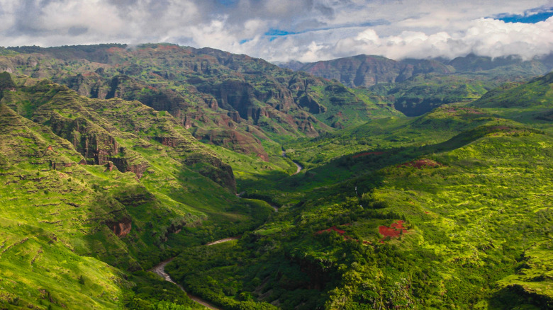 Parc d'État de Waimea Canyon, Kauai