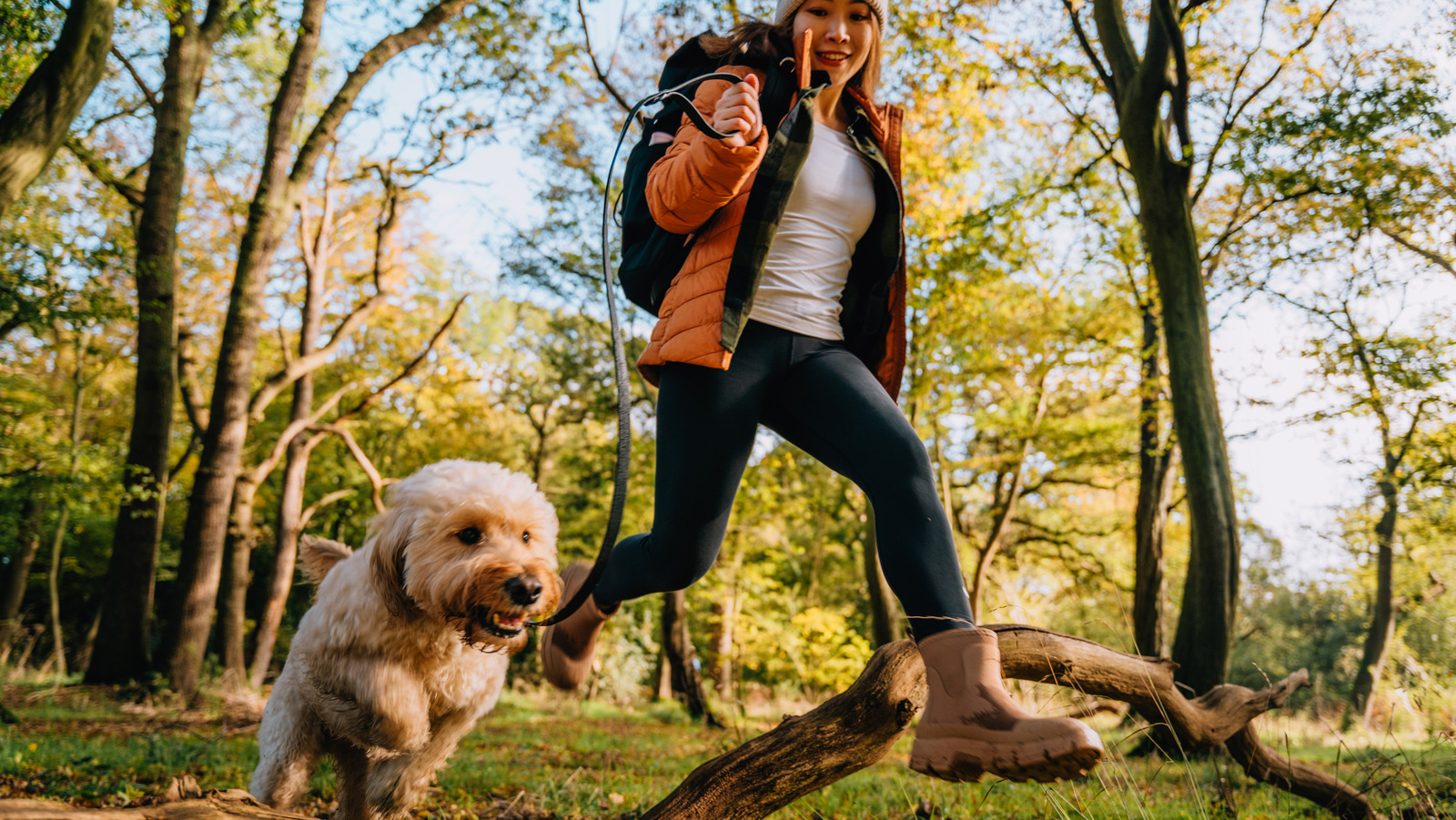 Ce que cela signifie lorsqu'un Ranger du parc national mentionne un «Ranger d'écorce»