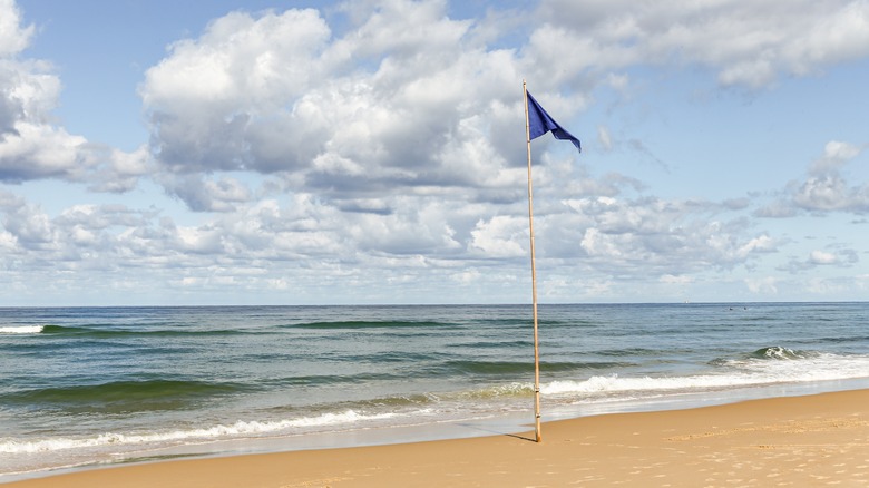 drapeau bleu sur le poteau à la plage française avec vue sur l'océan