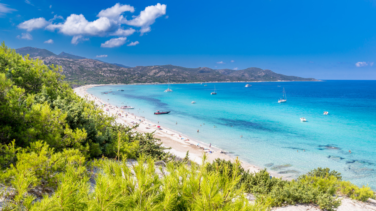 Ignorer cette importante mesure de sécurité sur les plages de la France pourrait être très dangereuse