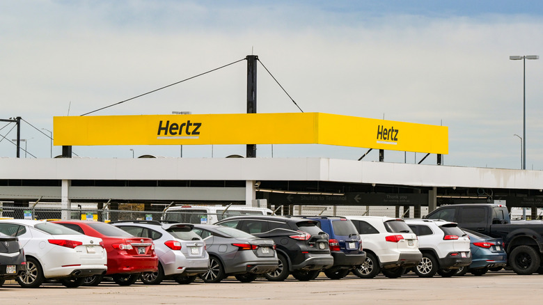Une ligne de voitures polies dans le parking d'une agence Hertz