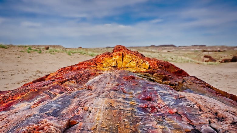 Parc national de la forêt pétrifiée dans de belles couleurs