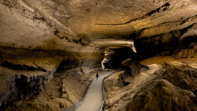 Mammoth Cave dans le Kentucky
