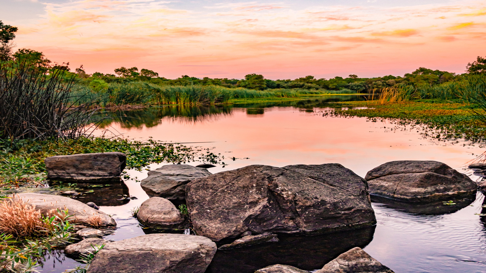 Un magnifique terrain de camping au bord du lac en Californie propose des sentiers naturels amusants avec une vue imprenable