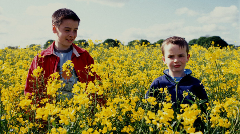 Anthony et Damian dans un champ de fleurs en millions