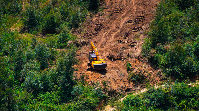 Vue aérienne de la déforestation et du sol vide au milieu de la forêt