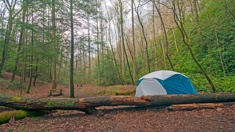 Camping dans les montagnes fumées