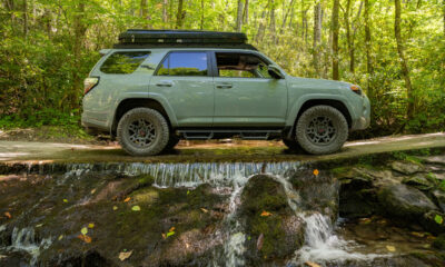 Le parc national des Great Smoky Mountains est l'un des meilleurs pour un road trip et il est clair pourquoi