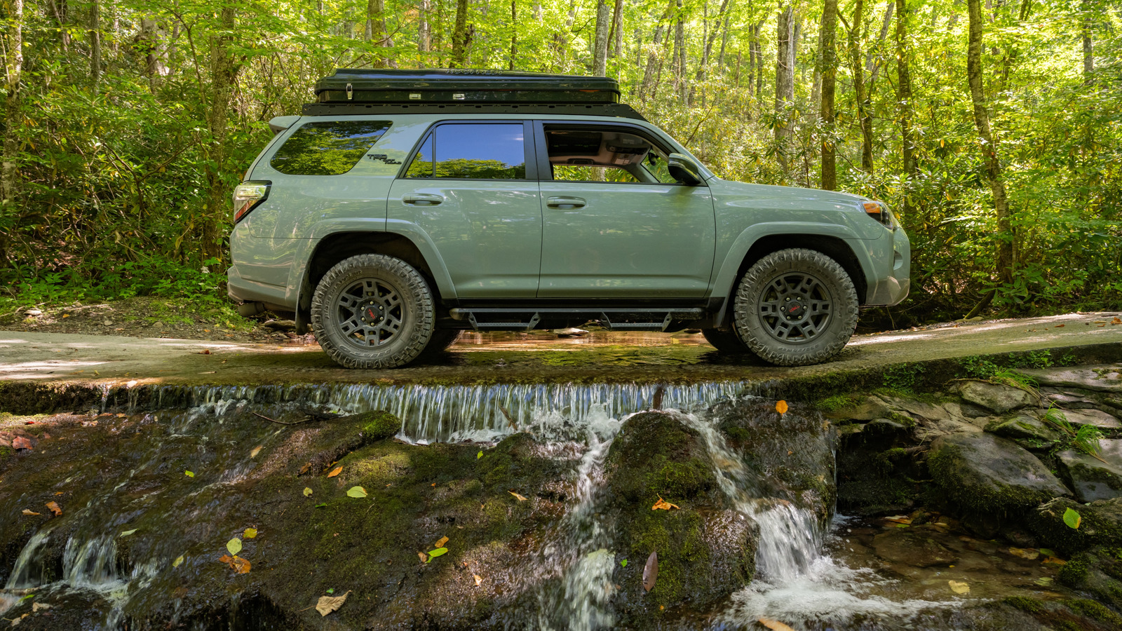 Le parc national des Great Smoky Mountains est l'un des meilleurs pour un road trip et il est clair pourquoi