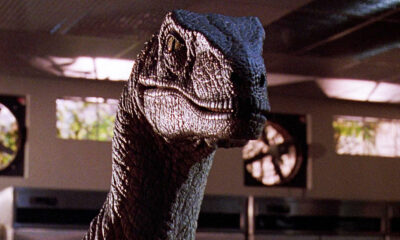 Jurassic Park vous a menti à propos des Velociraptors. Voici à quoi ils ressemblaient vraiment