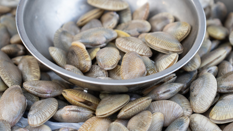 Les palourdes récoltées sont empilées dans et autour d'un bol