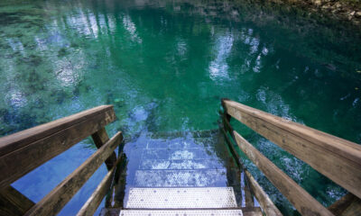 Ce trou de natation en Floride est un endroit haut de gamme pour les aventures en eau