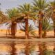 Voici à quelle fréquence les inondations du Sahara (et pourquoi ce n'est pas toujours une bonne chose)