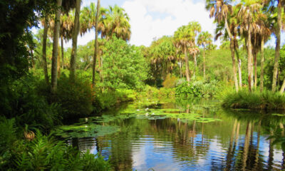 L'un des secrets les mieux gardés de la Floride est une ville au bord du lac avec de jolis paysages et des sentiers cachés
