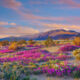 Le plus grand parc d'État de Californie est le rêve d'un randonneur plein de magnifiques vues de fleurs et de désert