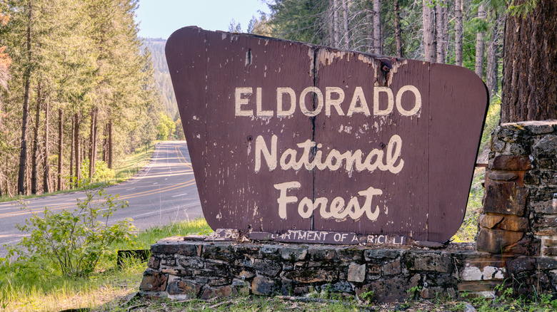 Signe de la forêt nationale d'Eldorado à côté de la route et des arbres