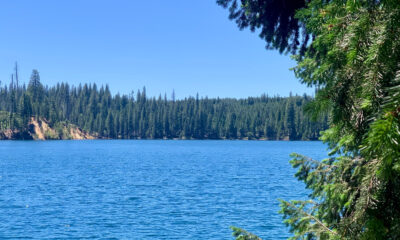 Le beau réservoir de Californie propose du camping et du plaisir en plein air sans la foule du lac Tahoe