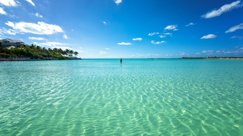 Un visiteur s'arrête loin dans le son de la craie dans les Turcs et les Caicos
