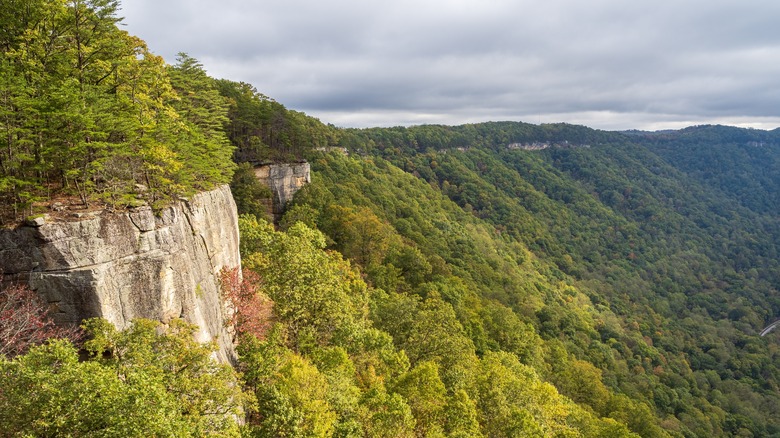 Trail mural sans fin du parc national de New River Gorge surplombant une gorge boisée