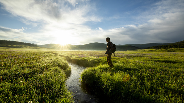Un randonneur masculin se tient devant un écran dans une prairie