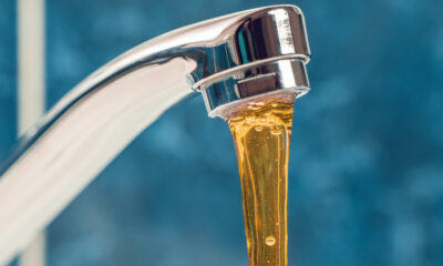 Pourquoi l'eau du robinet de la Floride sent-elle et si mauvais goût de la Floride?