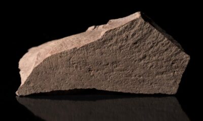 Ceci est les plus anciens scientifiques Ruestone jamais découverts