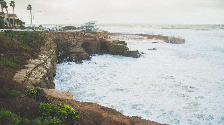 Scenic La Jolla Cove avec une plage entourée de falaises à La Jolla