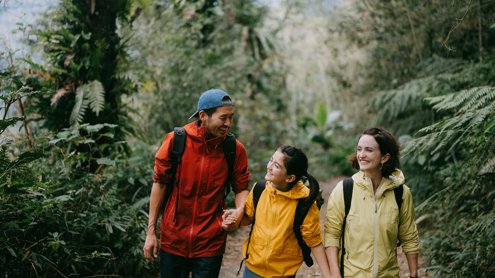 Pourquoi suivre un «sentier social» dans un État ou un parc national est un comportement antisocial à éviter