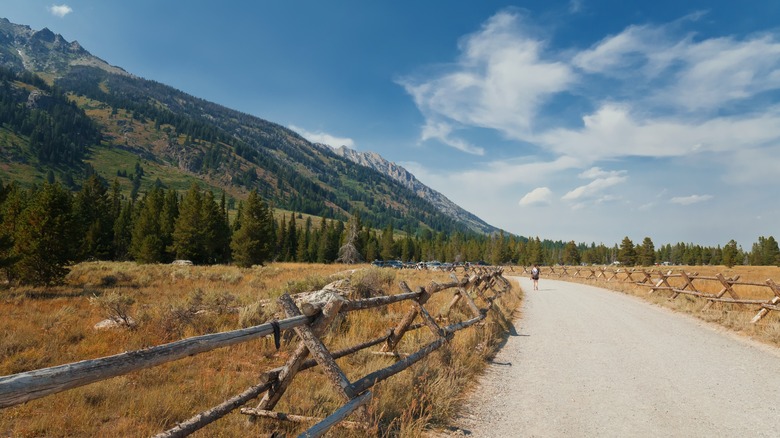 Personne qui marche sur la route de gravier vers Lupin Meadows Trailhead au parc national de Grand Teton