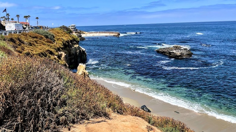 Falaise herbeuse, rivage sablonneux, océan bleu, ciel bleu