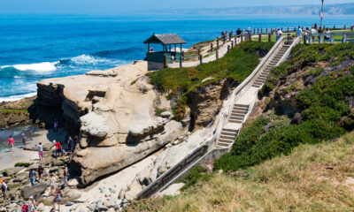Cette plage de Californie pittoresque abrite des phoques, des coquillages et de l'eau cristalline