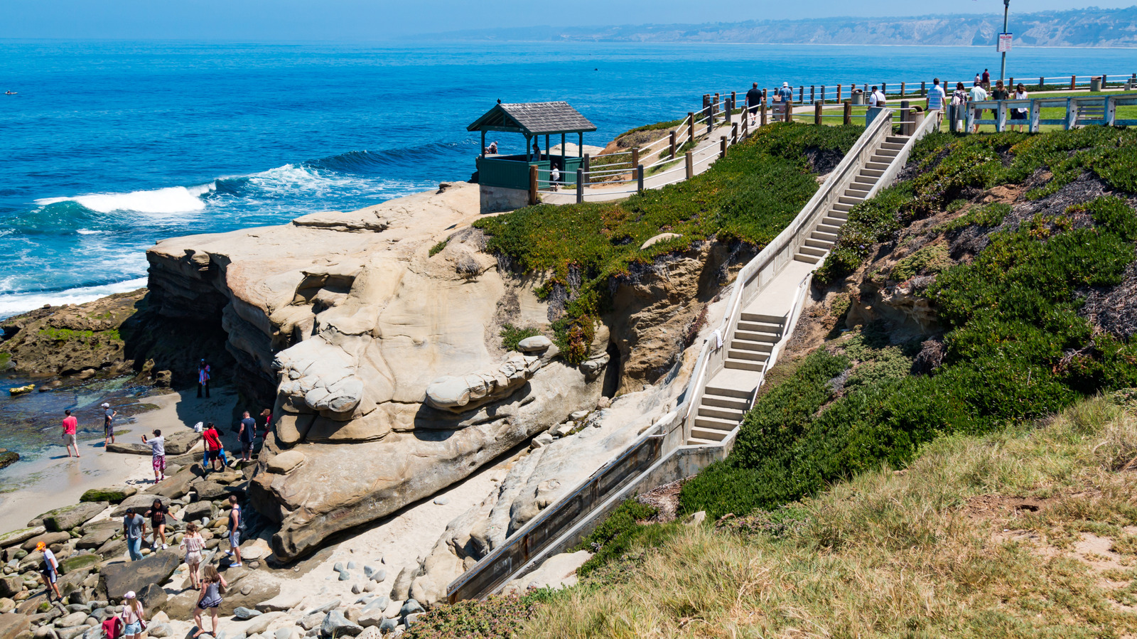 Cette plage de Californie pittoresque abrite des phoques, des coquillages et de l'eau cristalline