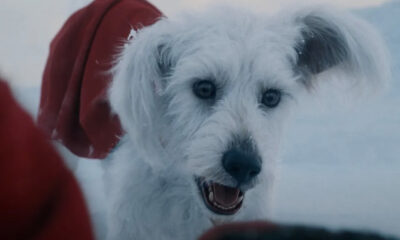 Le Superman de James Gunn présente un grand héros de bandes dessinées DC caché au marketing