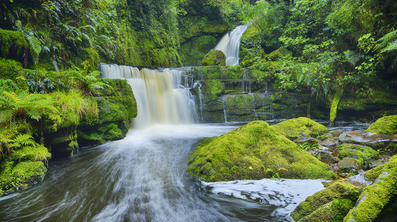Cascade qui coule sur des rochers couverts moussus dans la piscine