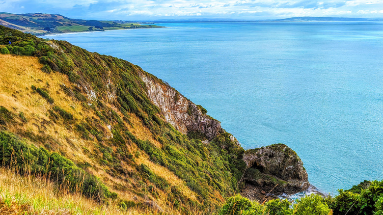 Vue de l'océan depuis Nugget Point dans les Catlins de la Nouvelle-Zélande