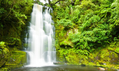 Ce sentier familial dans les Catlins luxuriants de la Nouvelle-Zélande mène à une superbe cascade