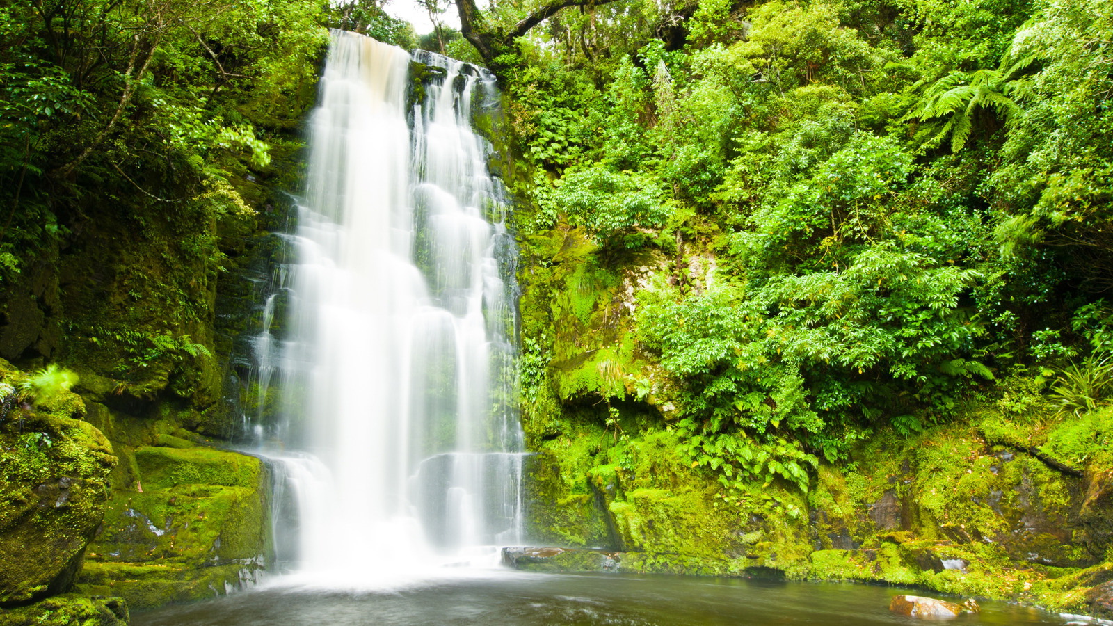 Ce sentier familial dans les Catlins luxuriants de la Nouvelle-Zélande mène à une superbe cascade